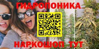 гашик Можайск
